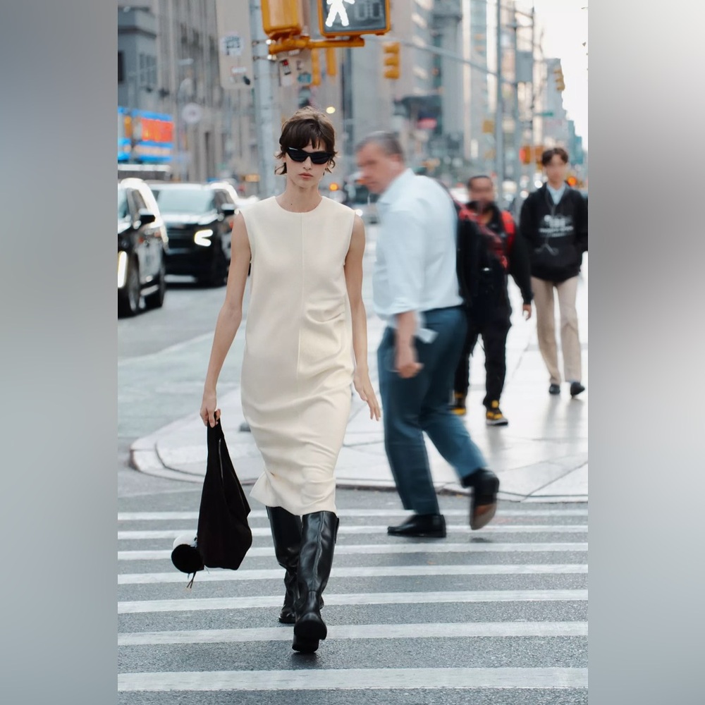 Zara wool blend dress